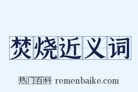 焚烧近义词是什么意思的图片